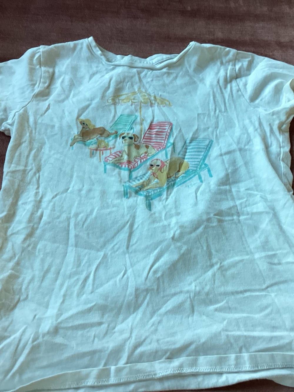 Crewcuts White Short Sleeve Tee with Beach Dogs Lounge Print